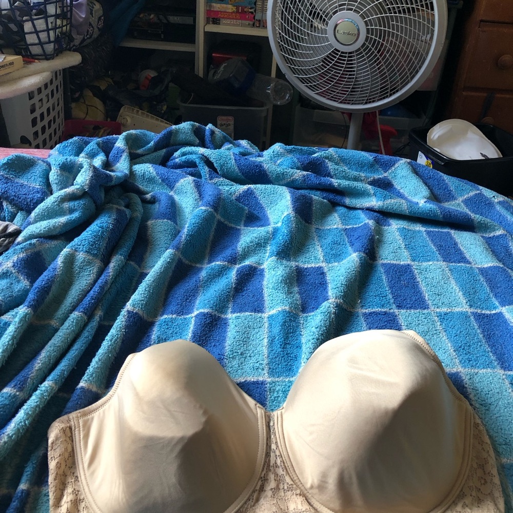 Elegant Beige Women's Bra